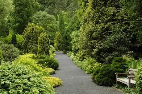 Foto de Arboretum Park Härle