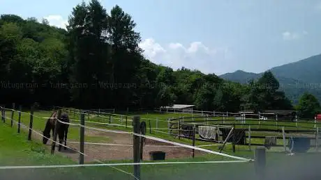 Photo de Azienda Agricola Cassina Piatta - Valley's Ranch