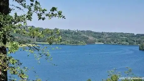 Photo de Große Dhünntalsperre Nature Reserve