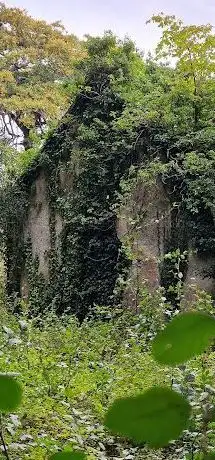 Photo de Great Connell Graveyard & Church remains