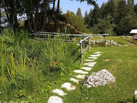 Photo de Giardino Botanico delle Alpi Orientali