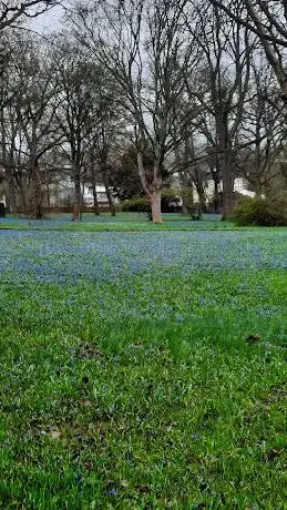 Photo de Das blaue Wunder