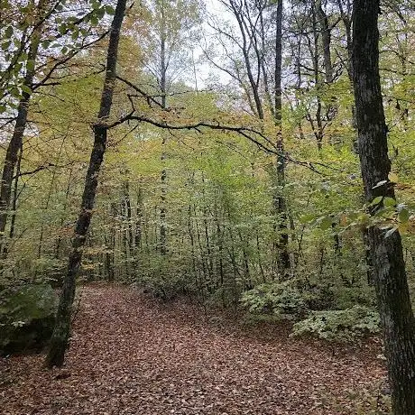 Photo de Mårås