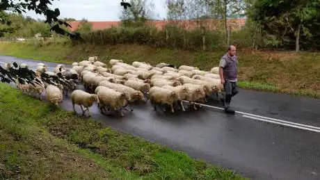 Photo de Basque Cooltour SC