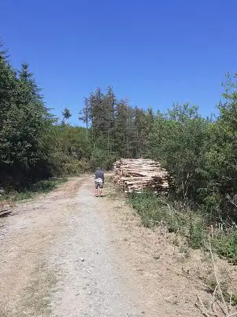 Photo de Coed Bryndansi