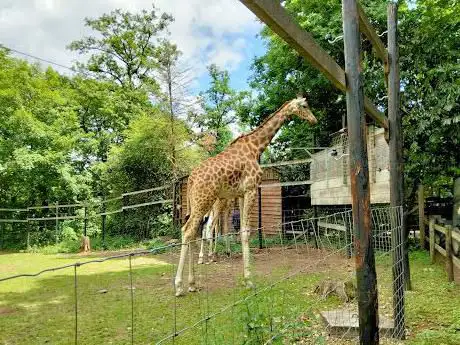Photo de Parc Animalier de Bouillon