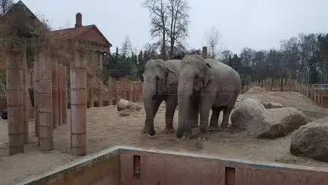 Photo of Copenhagen Zoo