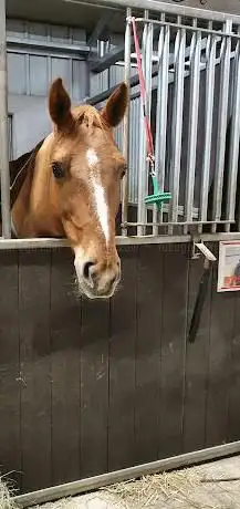 Photo de Les Haras du Petit Bois