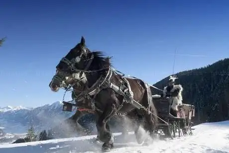 Photo de Pferdeschlittenfahrt Sankt Johann im Pongau | Berger Gerhard