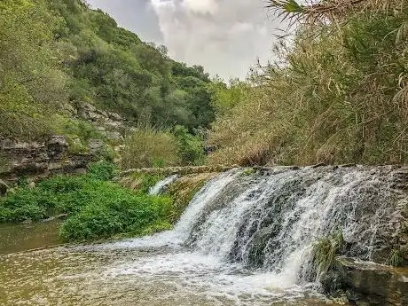 Photo de Cascata Secreta dos Cucos