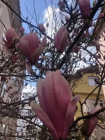Photo de Karanfil Çocuk Parkı