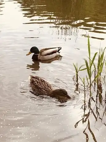Photo de Ottersleber Teich