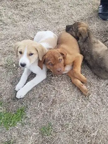 Photo de 15 Temmuz Şehitler Parkı