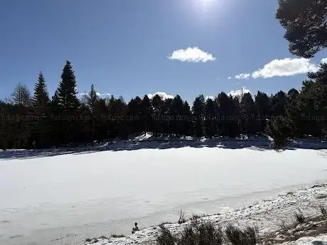 Photo de Étang du Ticou