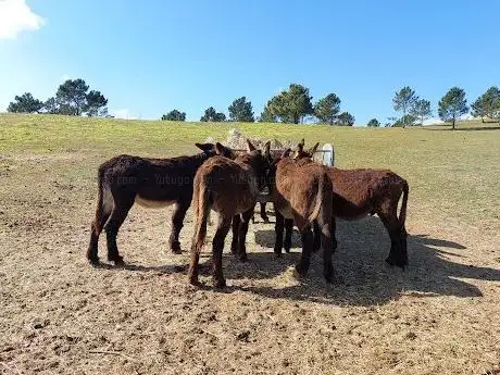 Photo de Quinta do Pisão