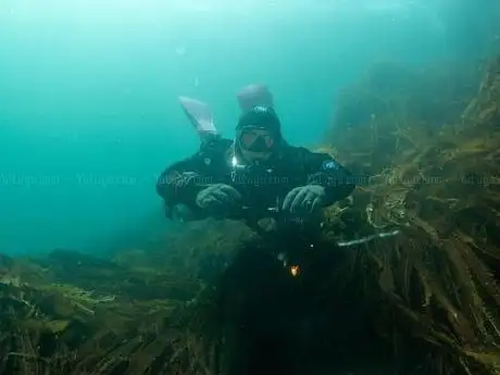 Photo of WreckDiving - IANTD Training Center