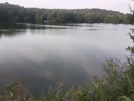 Photo of Réserve Naturelle Régionale du Marais de Condette