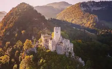 Photo de Ruine Neu-Falkenstein