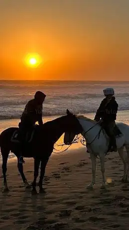 Photo de Cheval Agadir Loisirs