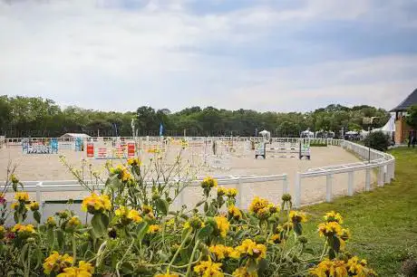 Photo de Parc Départemental de l'Isle Briand
