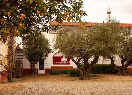 Photo de Monte das Vidigueiras