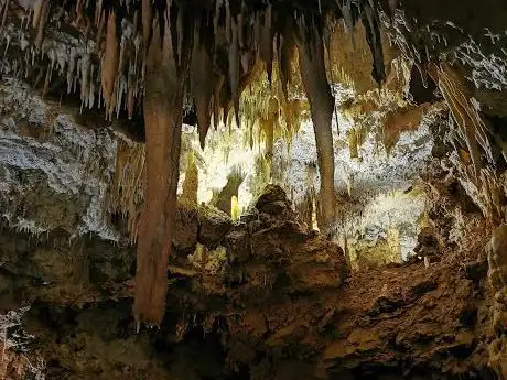 Foto de Grotte de Foissac