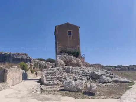 Photo de Oreille de Dionysos