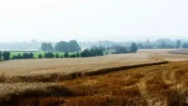 Photo de Perche en Quad