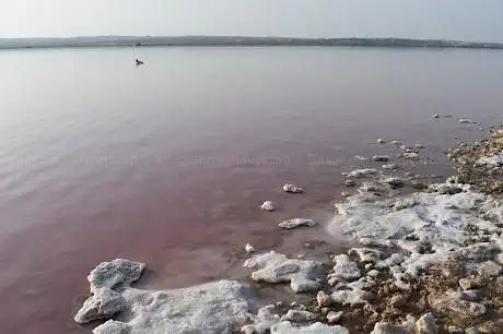 Photo de Salinera rosa