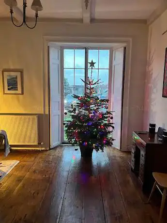 Photo de Holly Hill Christmas Trees