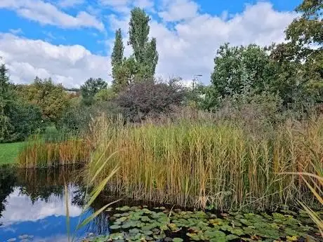 Photo de Budai Arborétum - Alsó kert