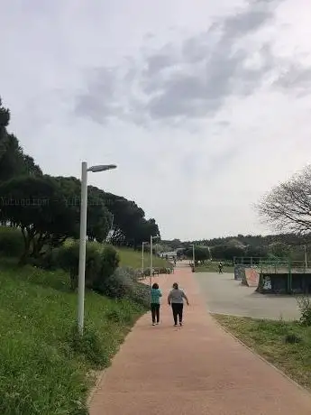 Photo de Parque da Ribeira das Lajes