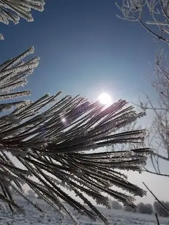 Photo de Türk Dünyası Parkı