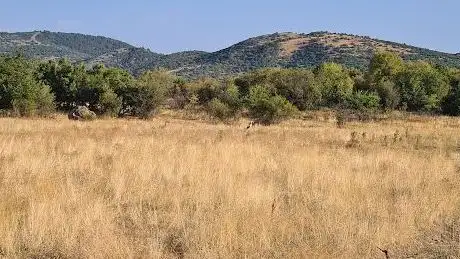Photo de Kartal Tepe Milli Parkı