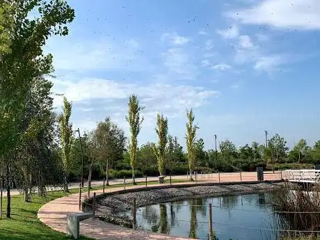 Photo de Llac
