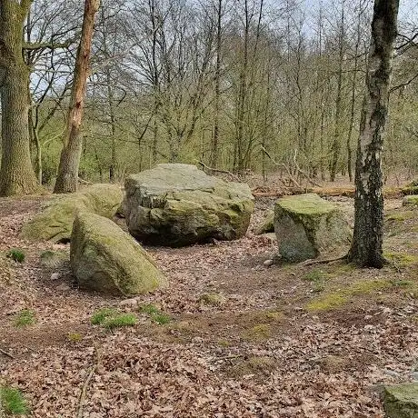 Photo de Großsteingrab Wenzendorf