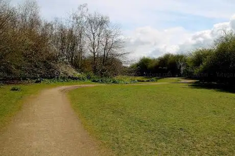 Photo de Kingsborough Manor Community Woodland