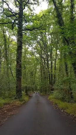 Photo de National Trust - Oldbury Hill