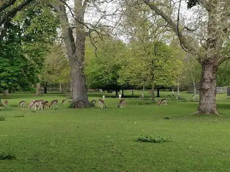 Photo de The Grove