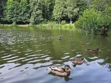 Photo de Waldsee
