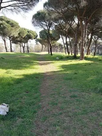 Photo de Parco pubblico