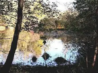 Photo de Sentier de la rainette