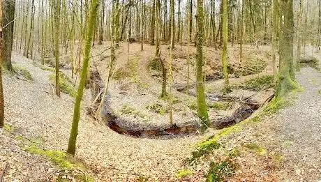 Photo de Wald Wickeltal