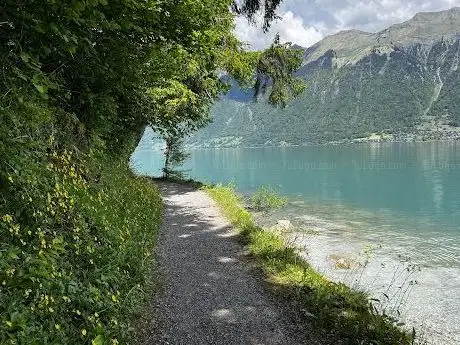 Photo de Uferweg Giessbach