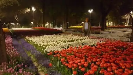 Photo de Park