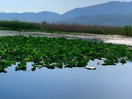 Photo de Işıklı Gölü Nilüfer Parkı