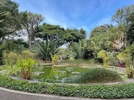 Photo de Palmetum