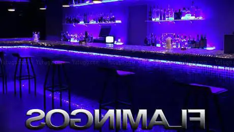 Photo de Flamingos Swingers Club