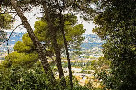 Photo of Bois des Pugets