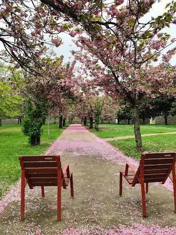 Photo de Parque Irubide